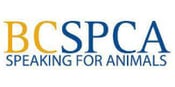 BCSPCA