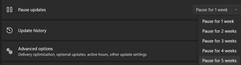 Windows 11 Pause Updates